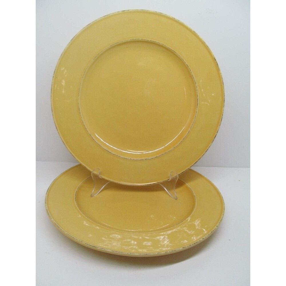 Pier 1 Mango Yellow Rustic 10 3/4" Dinner Plates Set Of 2